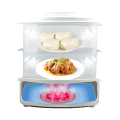 Electric Steamer and Defroster – Multi-Functional Appliance for Quick Steaming and Defrosting Food