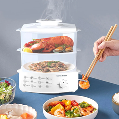 Electric Steamer and Defroster – Multi-Functional Appliance for Quick Steaming and Defrosting Food