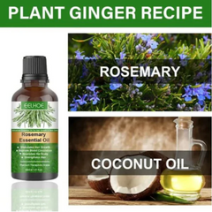 "Rosemary Hair Growth Essential Oil – Natural oil for promoting healthy hair growth, reducing hair loss, and nourishing scalp and strands."